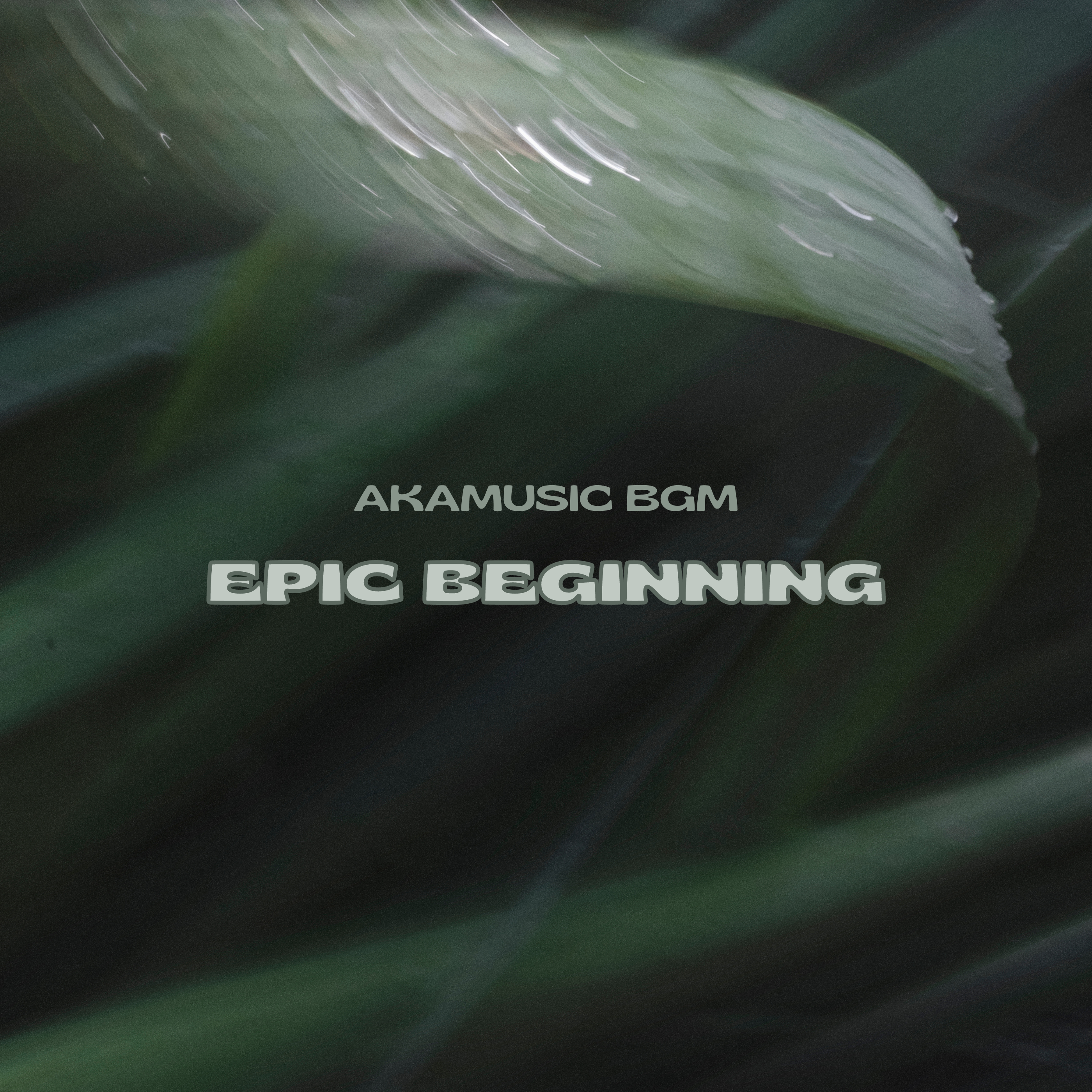 EPIC BEGINNING cover